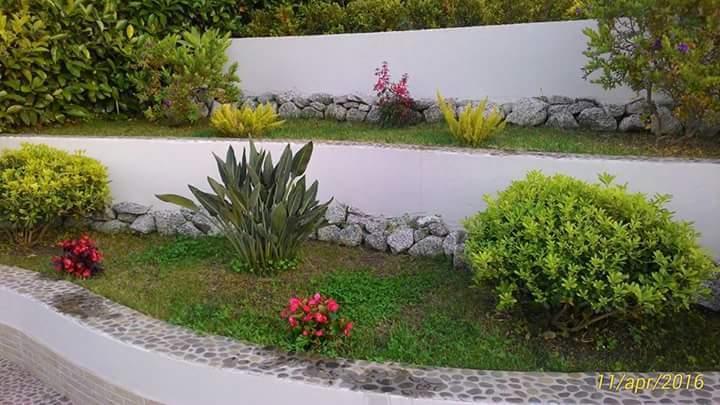 B&B Il Quadrifoglio Tropea Extérieur photo